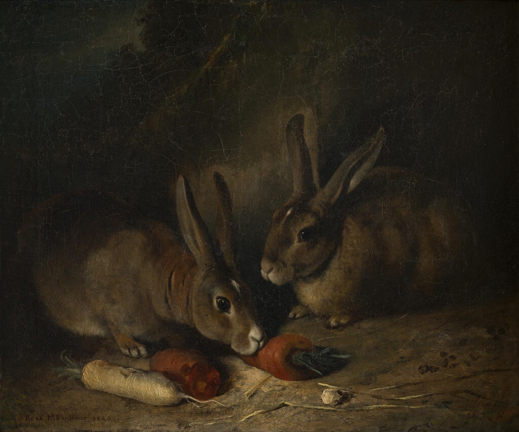 Lapins, Rosa Bonheur, 1840