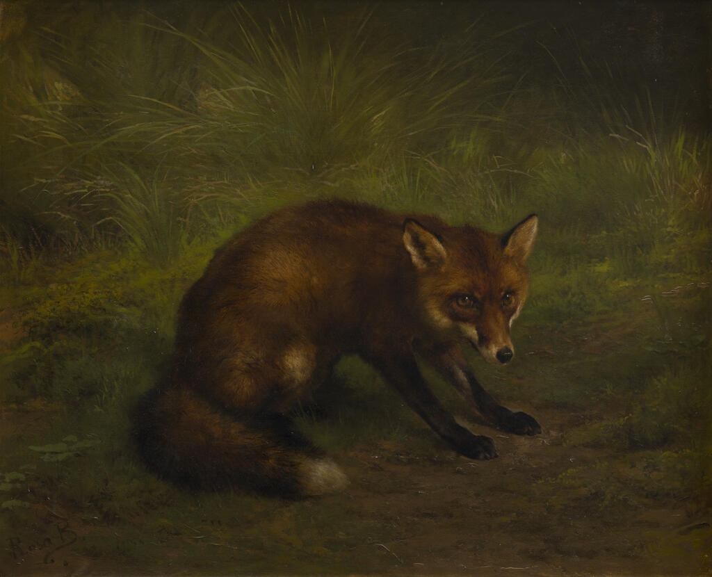Etude de renard, Rosa Bonheur, 19e siècle