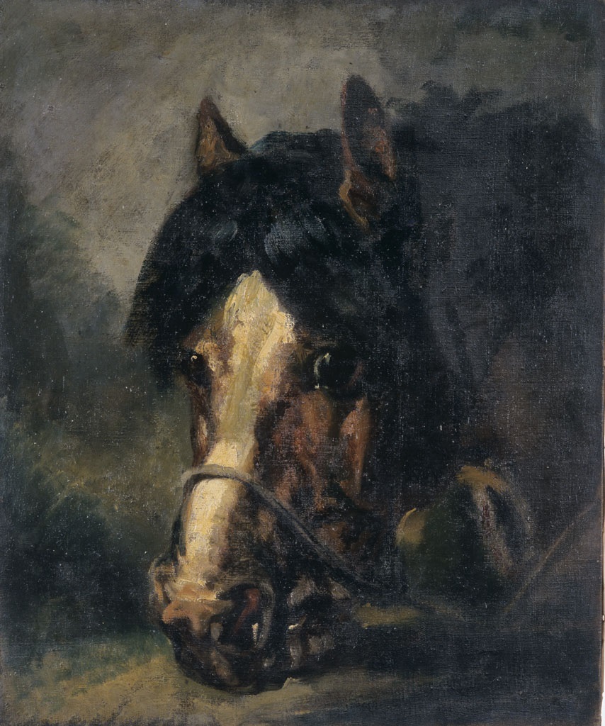 Tête de cheval, Rosa Bonheur, 19e siècle