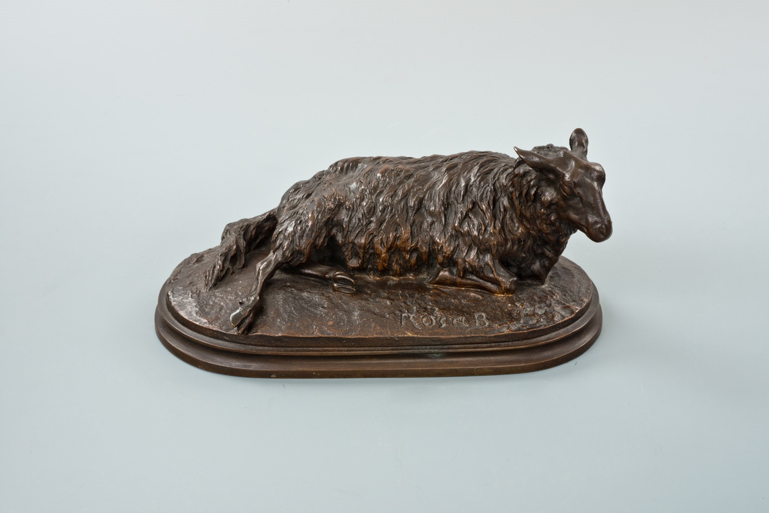 Un mouton couché, Rosa Bonheur, 1845-1846