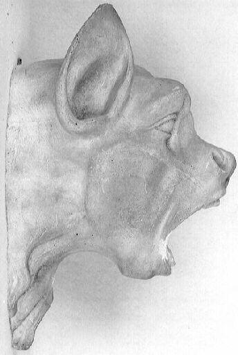 Tête d'animal fantastique : Gargouille_0