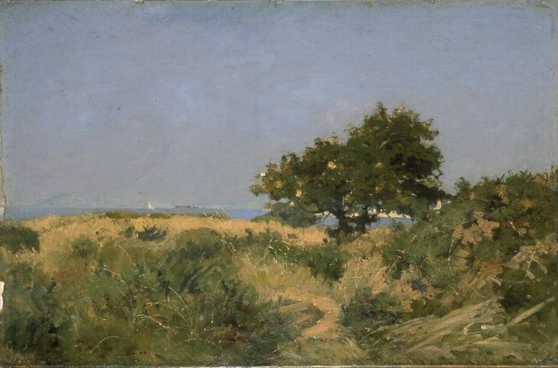 Plages et dunes_0