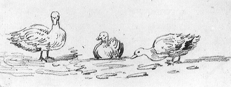 Trois canards, 19e siècle