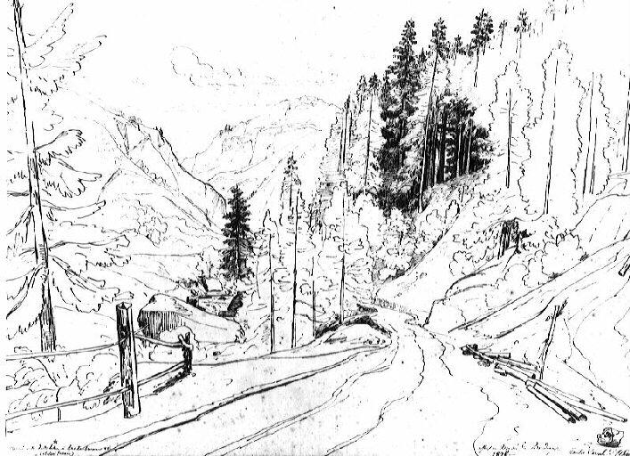 Chemin entre Interlaken et Lauterbrunnen_0