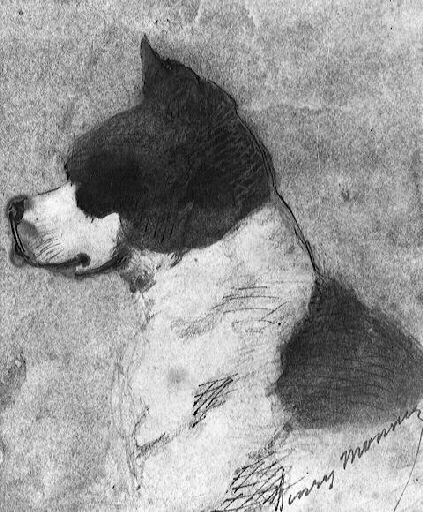 Tête de chien, Henry Monnier, 19e siècle