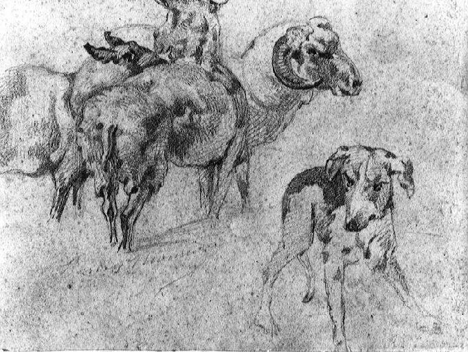 Moutons et chiens, Henry Monnier, 19e siècle