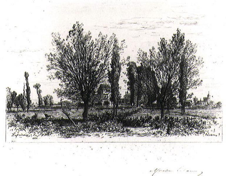 Dans les champs de Cenon_0
