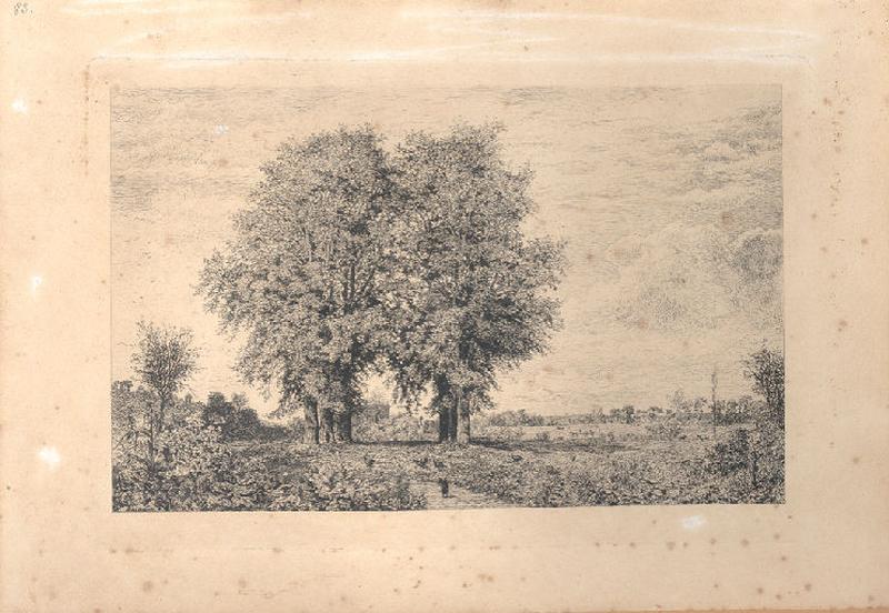 Les ormeaux de Cenon_0