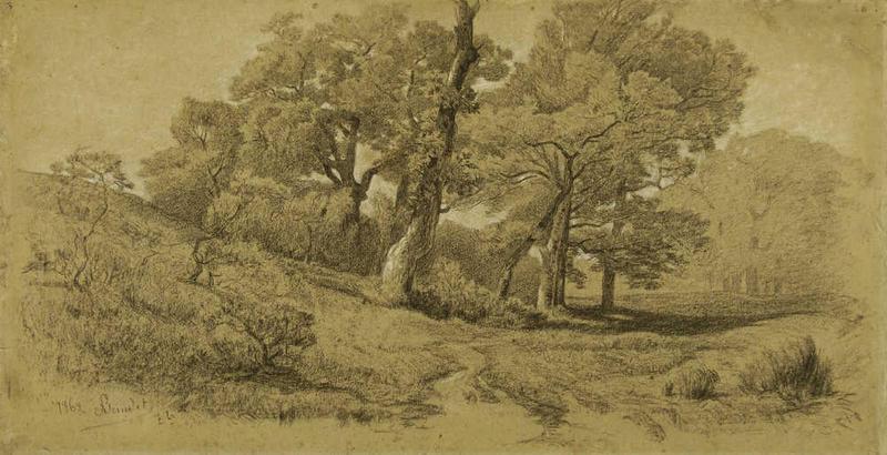Chênaie, Amédée Baudit, 1862