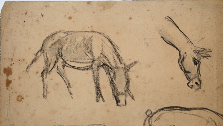 Études d'ânes paissant, Pierre-Albert Bégaud, 20e siècle