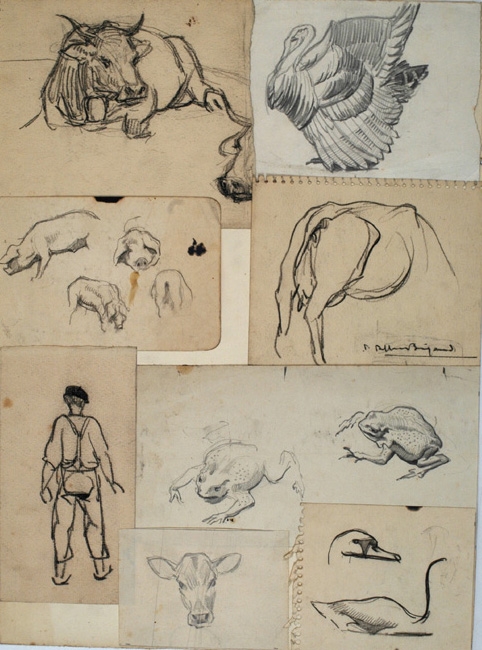 Divers croquis d'animaux, Pierre-Albert Bégaud, 20e siècle