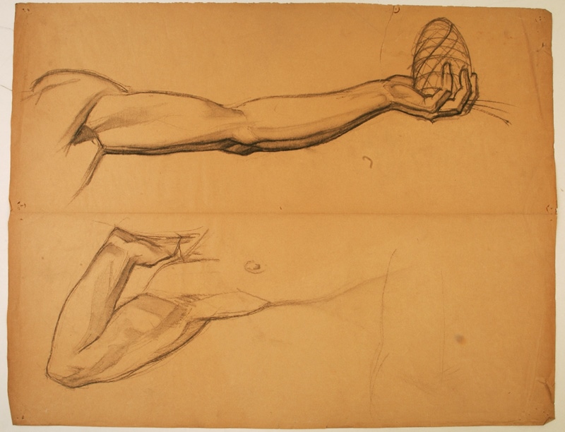 Études de bras pour le personnage central de la fresque du Pin des Landes, Pierre-Albert Bégaud, 20e siècle