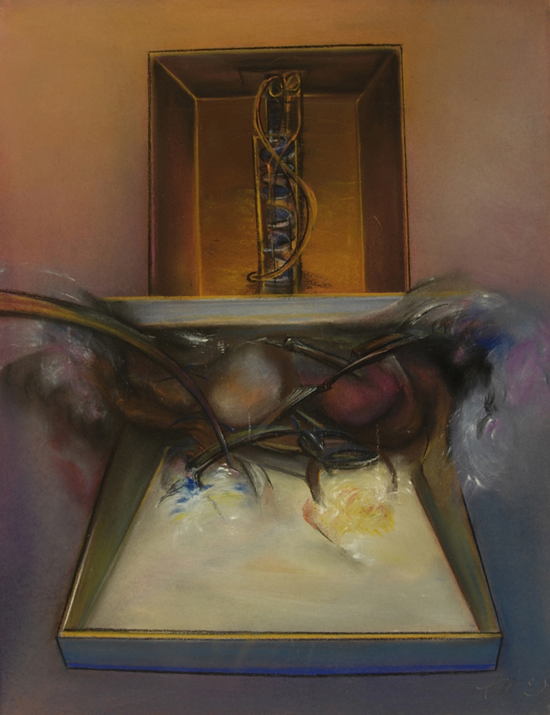 Formes dans des boîtes, Suzanne Martin, 1979