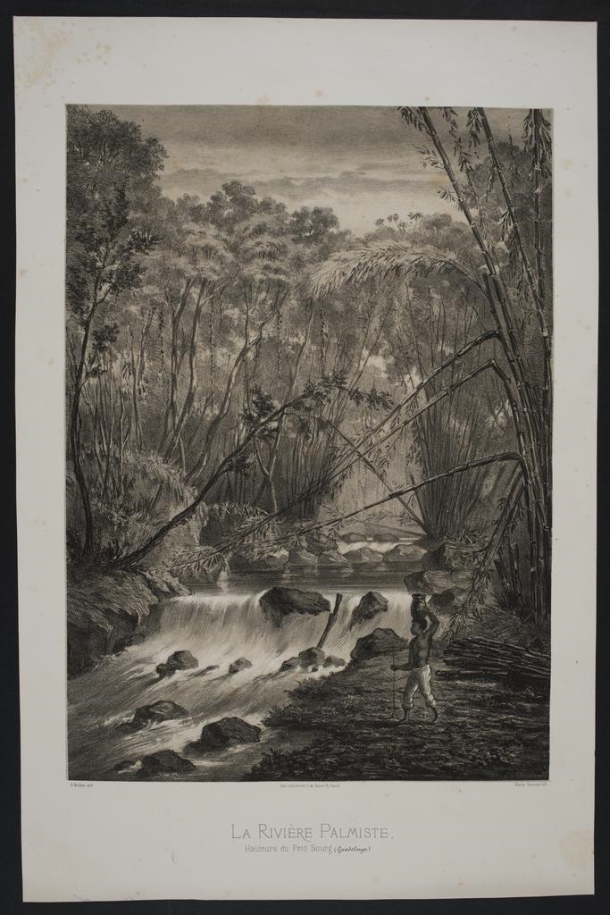 "La Rivière Palmiste" ; Vue de la Guadeloupe_0