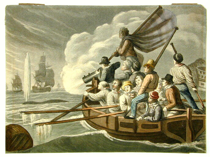 Autre manière de tuer la baleine, pêche au canon_0