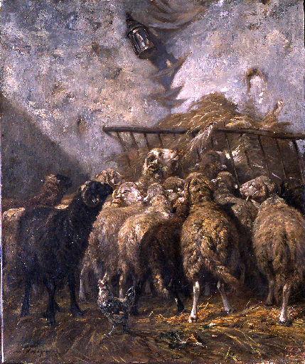 Intérieur de bergerie (moutons Béarn)_0