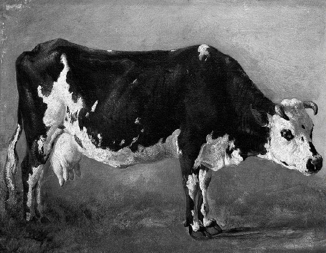 Etude de vache_0