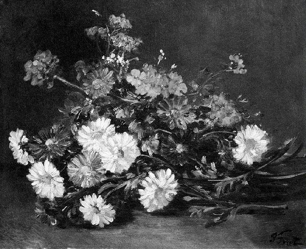 Fleurs_0
