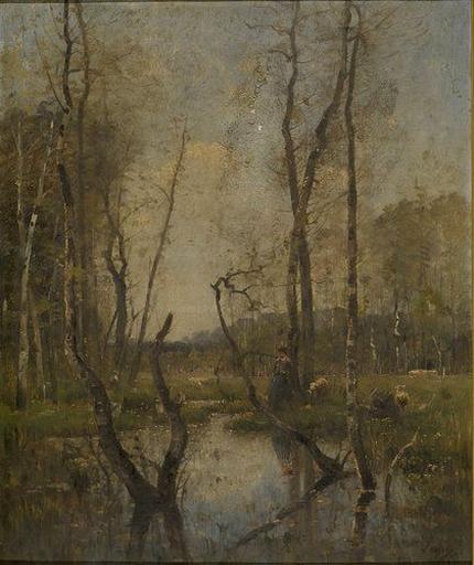 Avril dans les bois de Pierrefonds_0