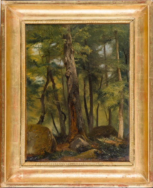Etude d'arbres dans la forêt de Fontainebleau, Augustin Enfantin, 1ère moitié 19e siècle