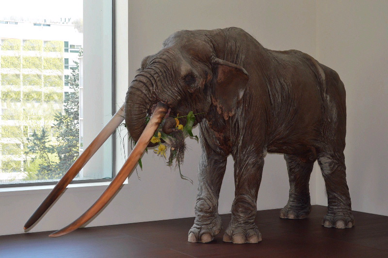 Maquette d'anancus arvernensis ; mastodonte d'Auvergne_0