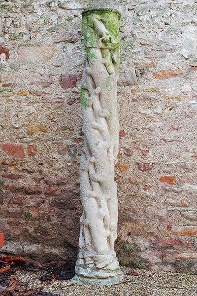 Colonne_0