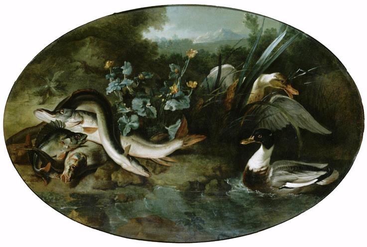 Canards et poissons_0