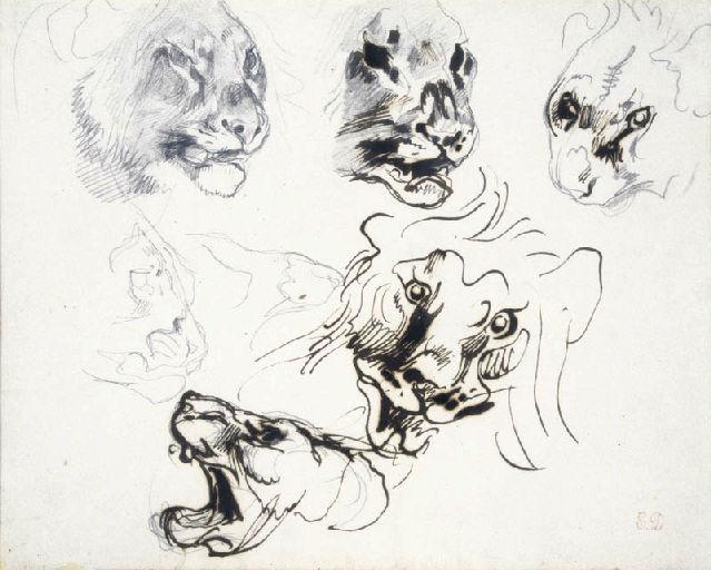 Têtes de lions et de lionnes rugissant, Eugène Delacroix, 1847