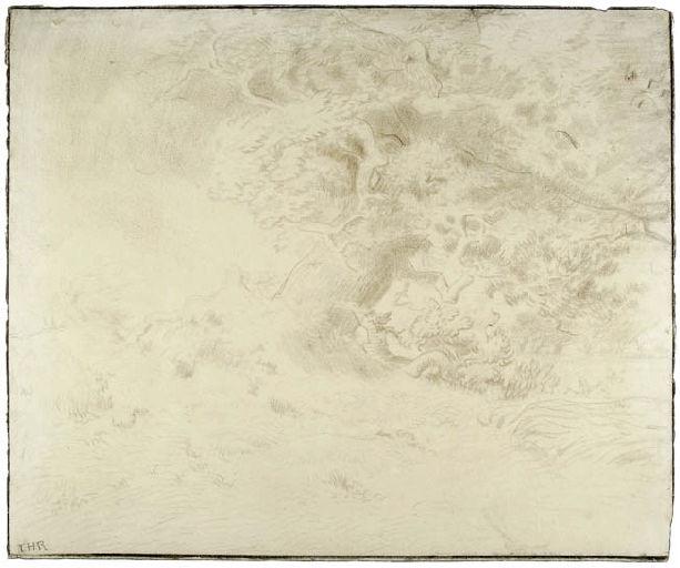 Le Chêne et le roseau_0