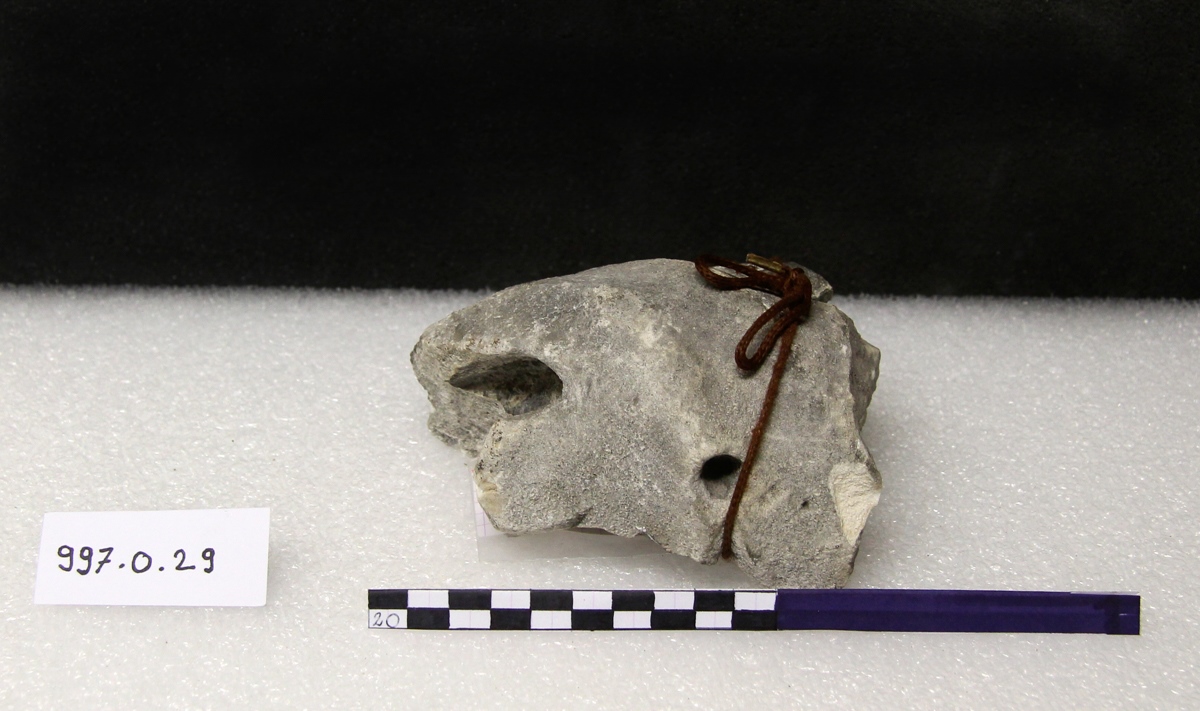Fragment de rinceau de métope, 1ère moitié 13e siècle
