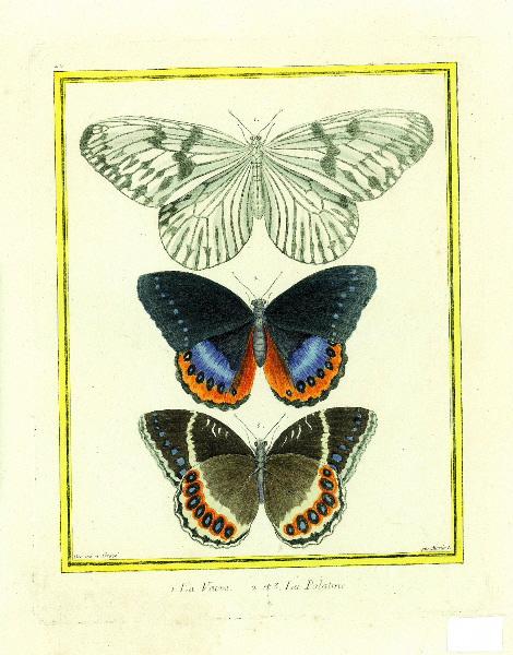 1. La veuve. 2 et 3. La Palatine, François-Nicolas Martinet, 2e moitié 18e siècle