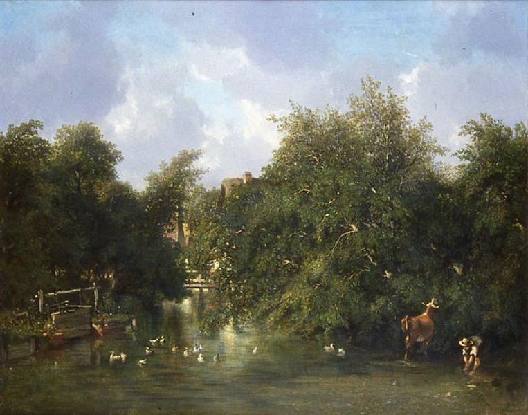 Noisetiers sur le bord de la Bresle à Aumale_0