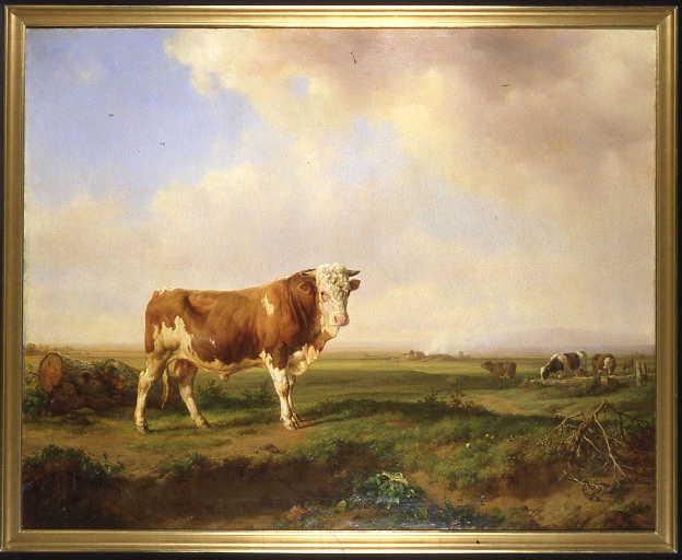Taureau dans un paysage_0