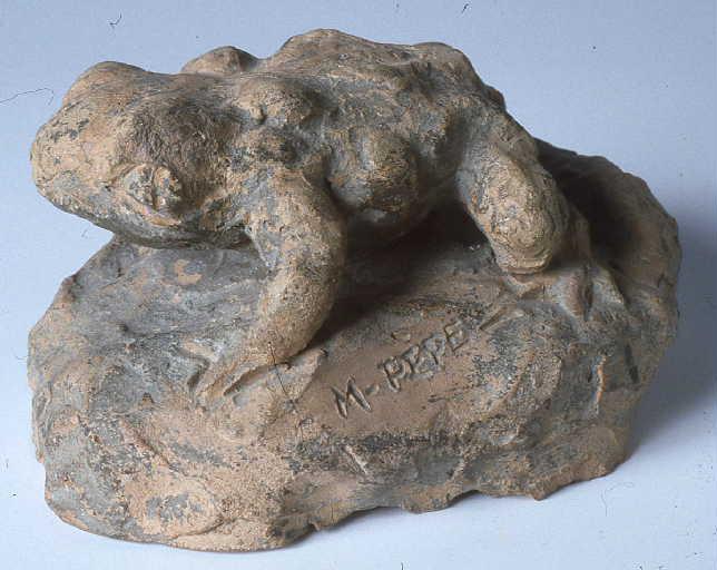 Crapaud_0