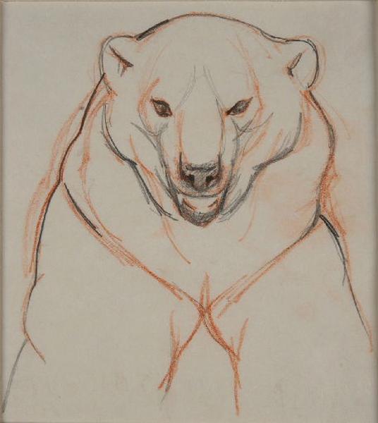Tête d'ours, Georges Marcel Pepe, 1ère moitié 19e siècle
