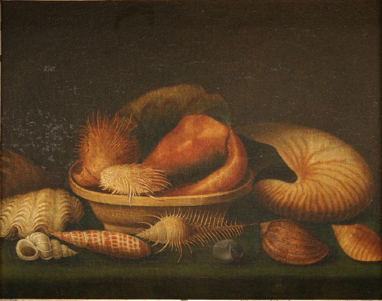 Nature morte aux coquillages, 17e siècle