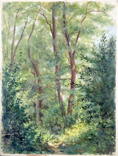 Sous-bois, Etienne de Martenne, 4e quart 19e siècle, 1er quart 20e siècle