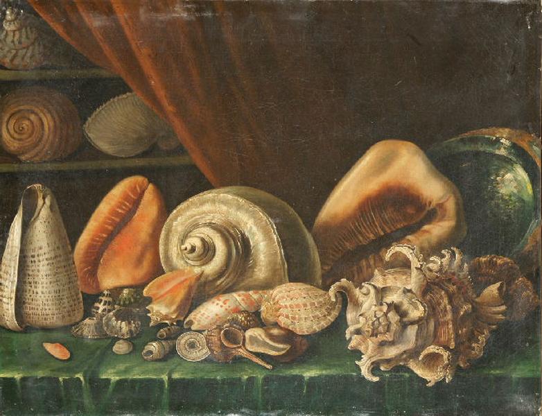 Nature morte aux coquillages, 17e siècle