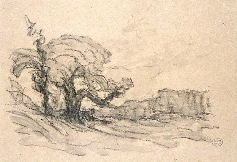 Etude d'arbre, Etienne de Martenne, 4e quart 19e siècle, 1er quart 20e siècle