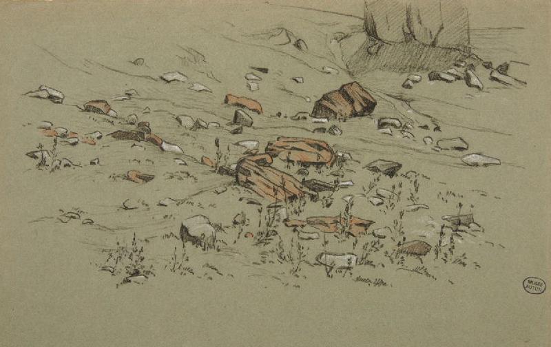 Etude de sol pierreux, Etienne de Martenne, 4e quart 19e siècle, 1er quart 20e siècle