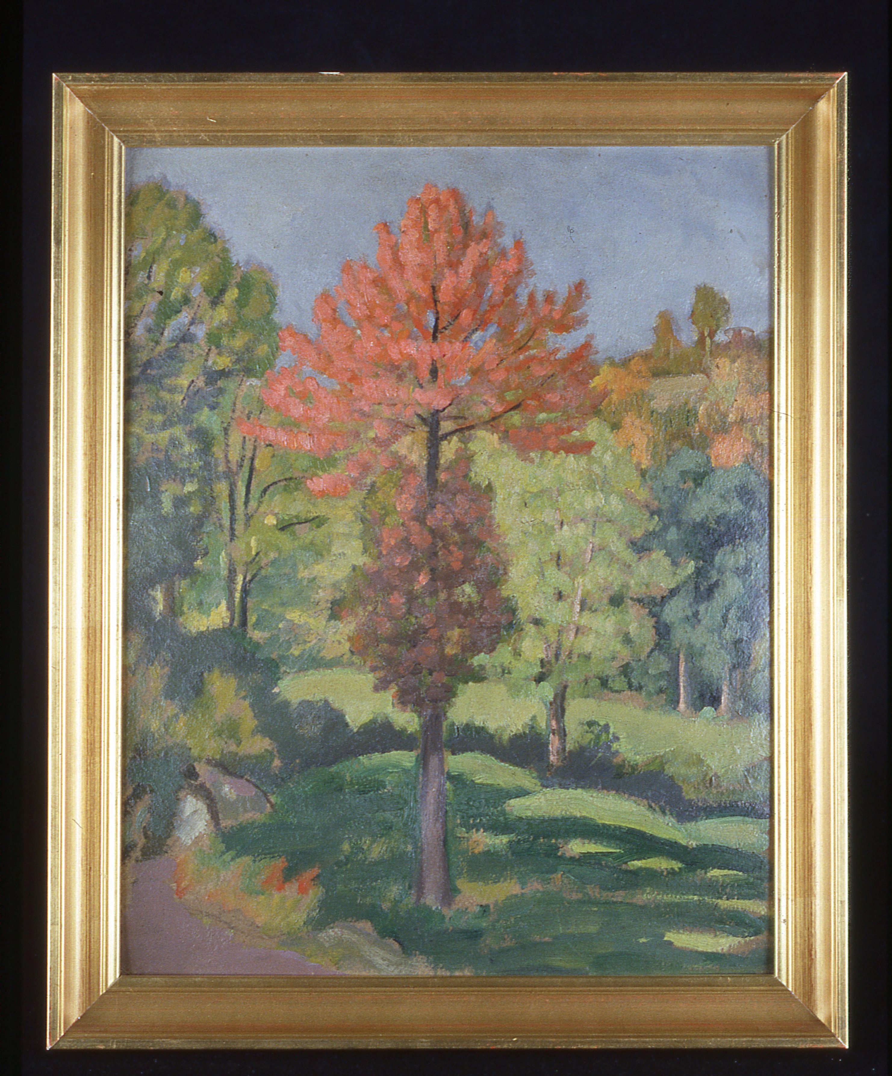 Hêtre pourpre à Uchon, Louis Charlot, 1904,1905