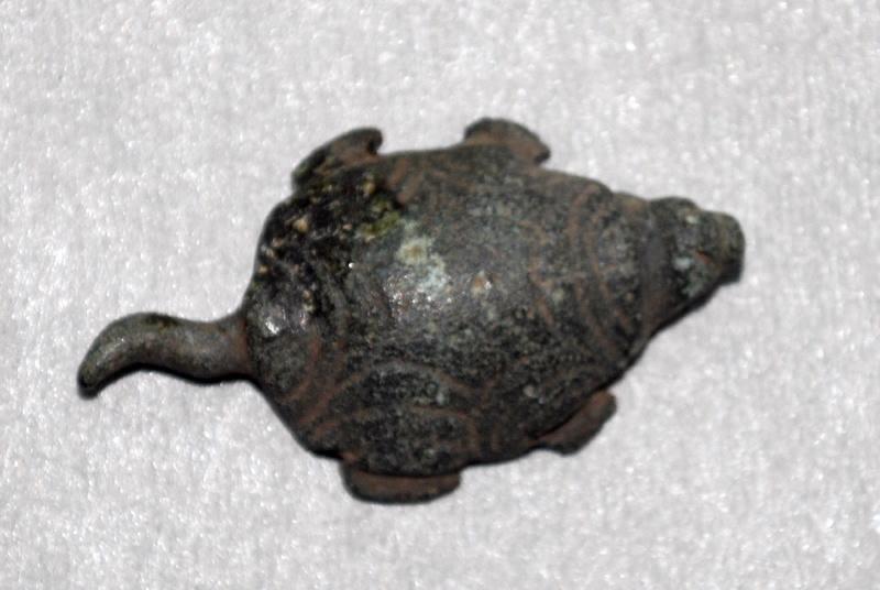 Tortue