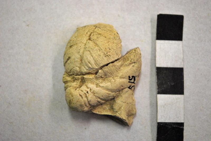 Tête de femme coiffée d'un chignon, Atelier de Pistillus, 1er siècle, 2e siècle