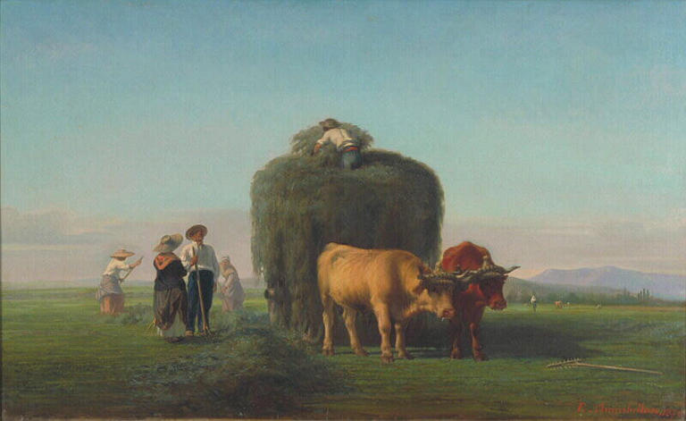 La récolte des foins dans le Charolais_0