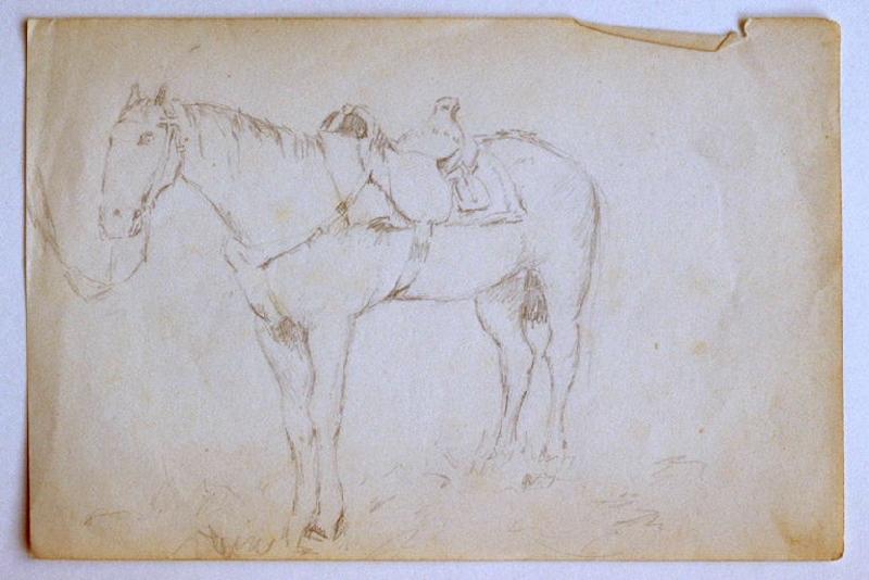 Etude de cheval_0