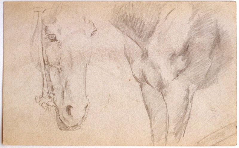 Etude : tête et poitrail de cheval, Gaston Bussière, 1880 vers