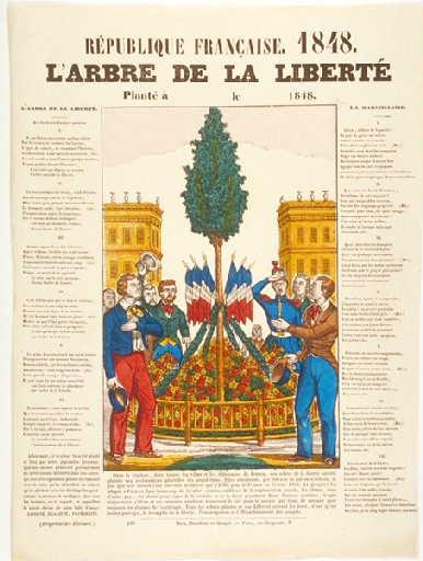 L'arbre de la liberté_0