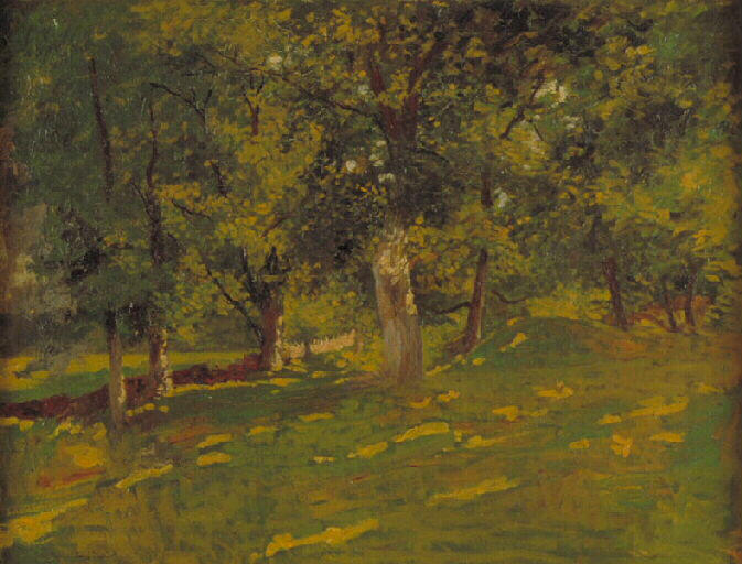Châtaigniers dans la Creuse_0