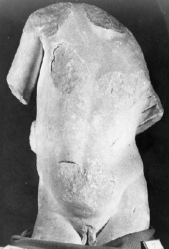 Torse d'éphèbe_0