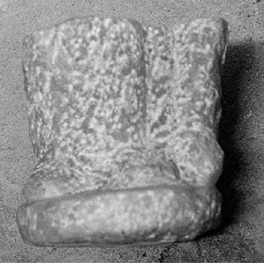 statue (fragment)